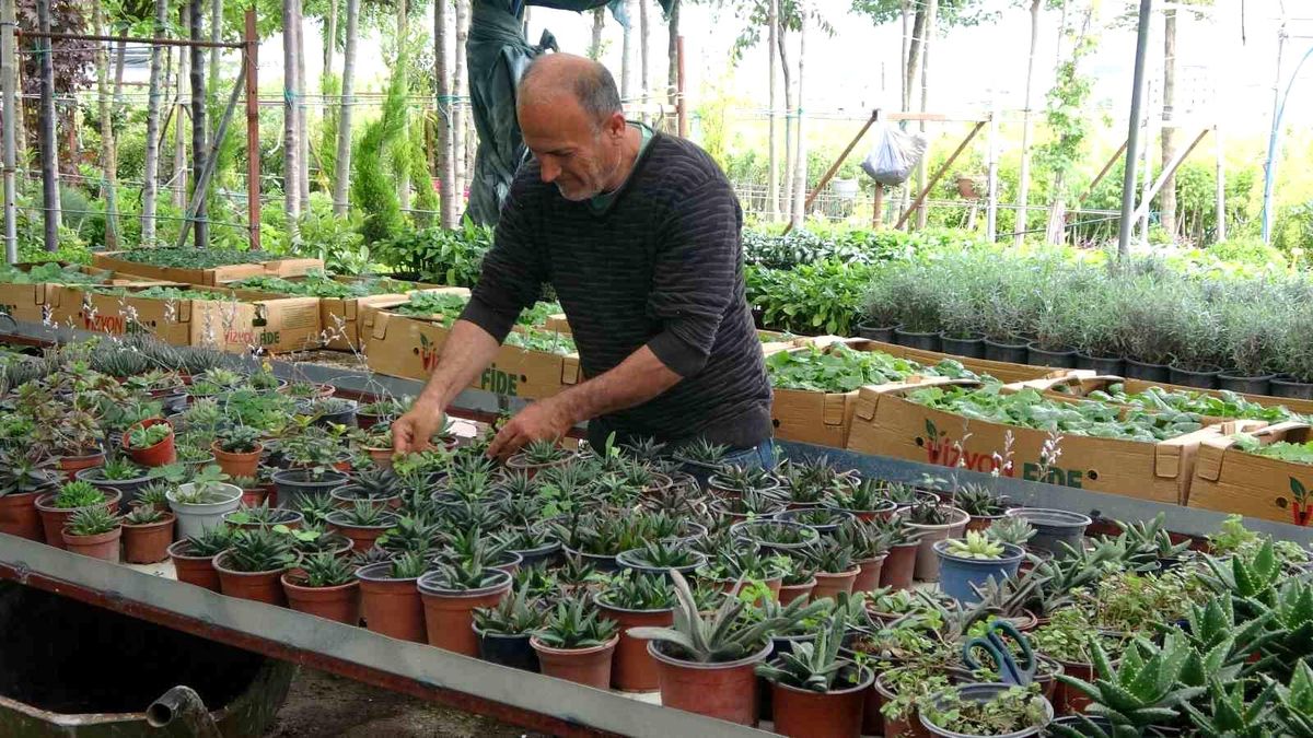 Artan çiçek satışları Hatay'da bu sefer yüz güldürmedi