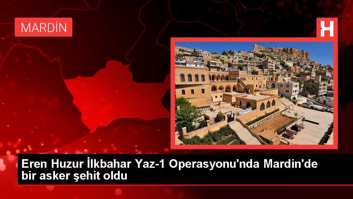 Eren Huzur İlkbahar Yaz-1 Operasyonu'nda Mardin'de bir asker şehit oldu