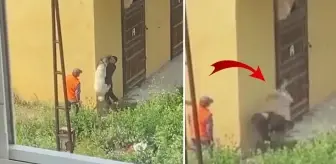 İzmir'de bir şahsın köpeğe işkence anları anbean kamerada! Havaya kaldırıp beton zemine çarptı