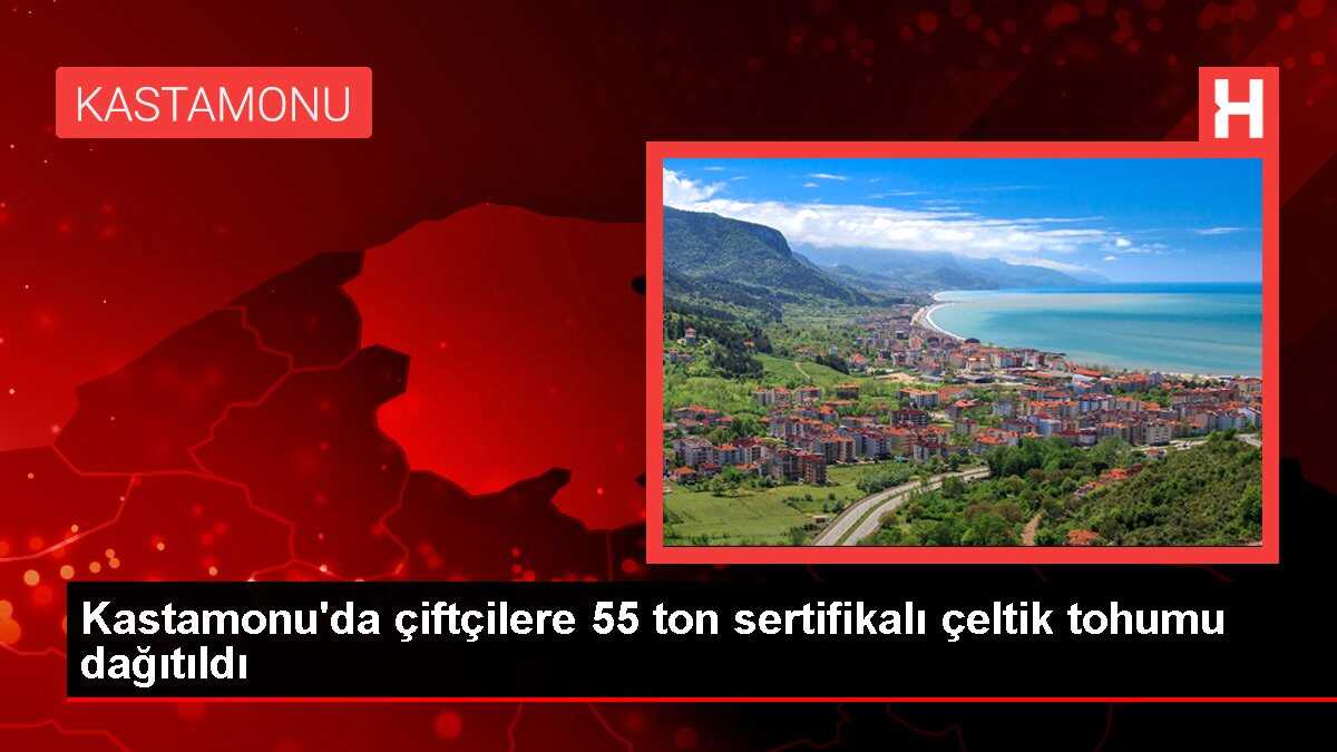 Kastamonu'da çiftçilere 55 ton sertifikalı çeltik tohumu dağıtıldı