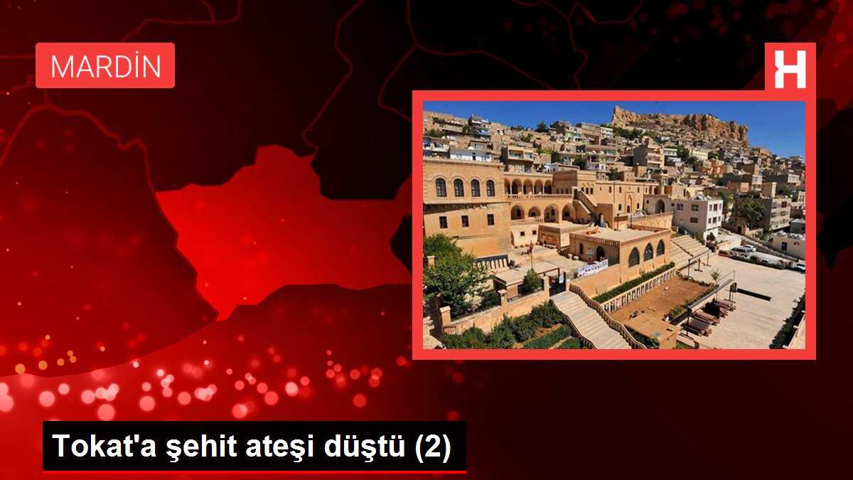 Mardin'de Terör Operasyonu: 1 Şehit, 1 Yaralı