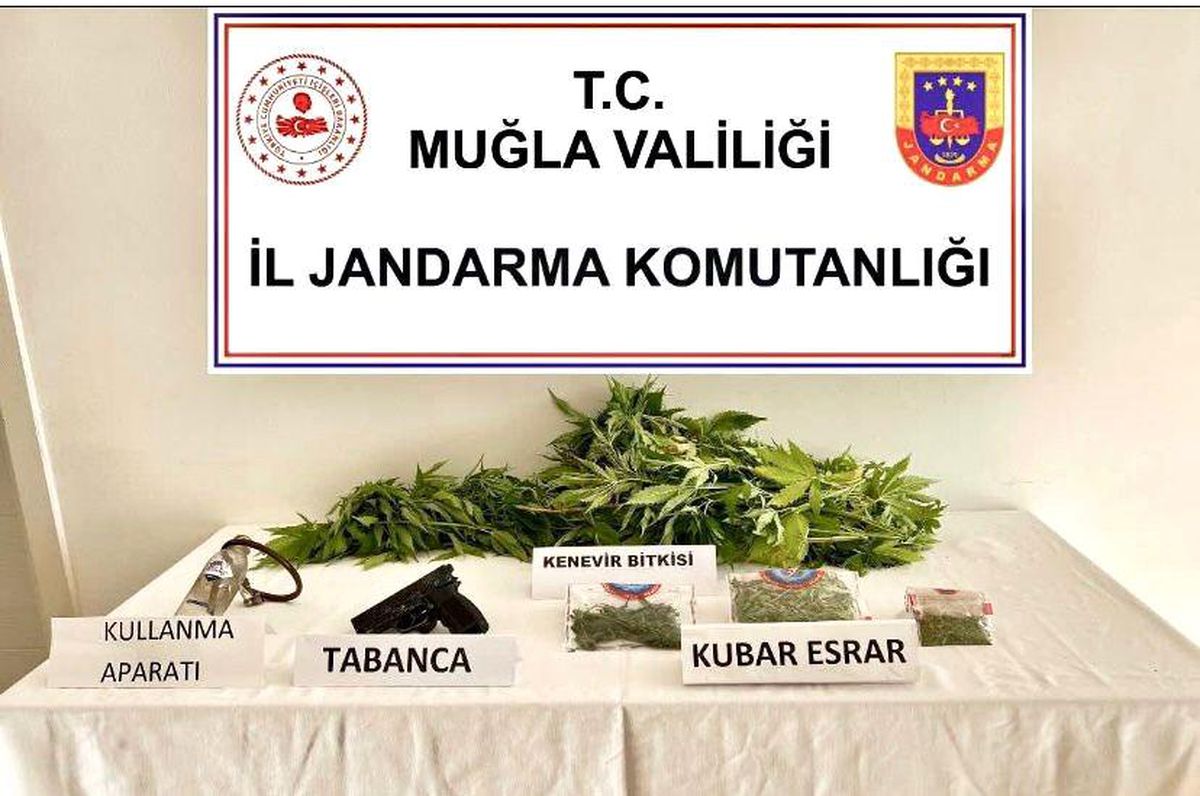 Uyuşturucu operasyonunda 1 gözaltı