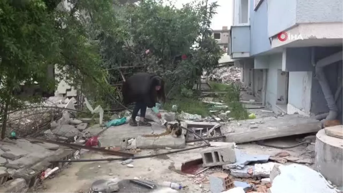 83 gündür 'Kekik' isimli kediyi yıkık binalar arasında arıyorlar