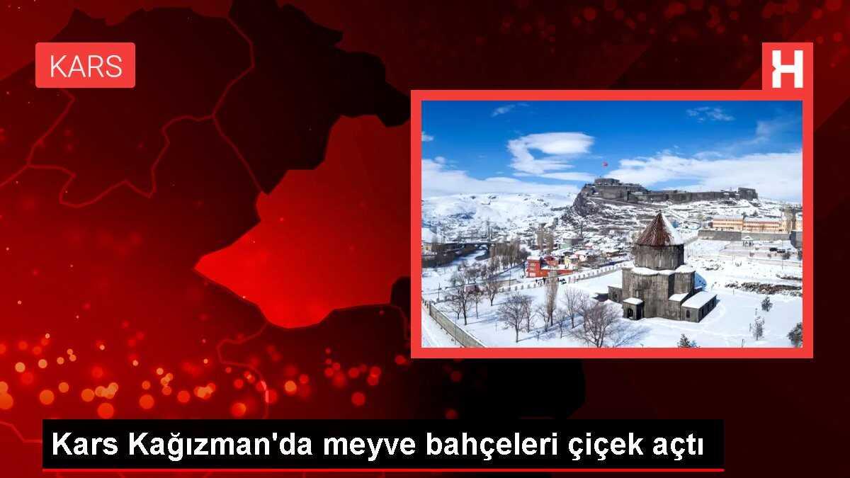Kars Kağızman'da meyve bahçeleri çiçek açtı