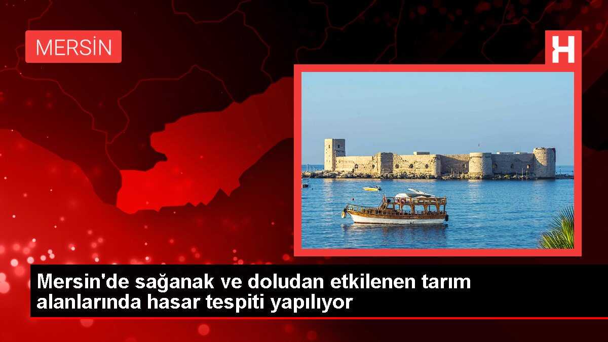 Mersin'de sağanak ve doludan etkilenen tarım alanlarında hasar tespiti yapılıyor
