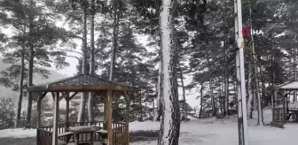 Nisan ayının sonunda yağan kar hayrete düşürdü