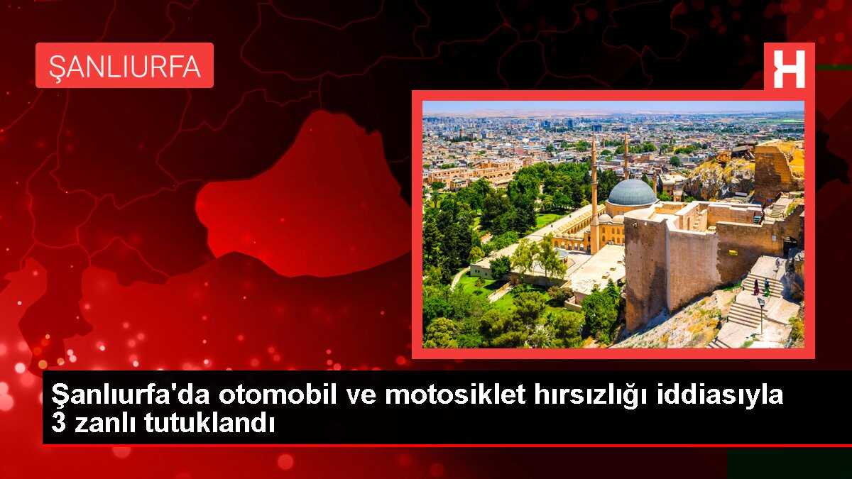 Şanlıurfa'da otomobil ve motosiklet hırsızlığı iddiasıyla 3 zanlı tutuklandı