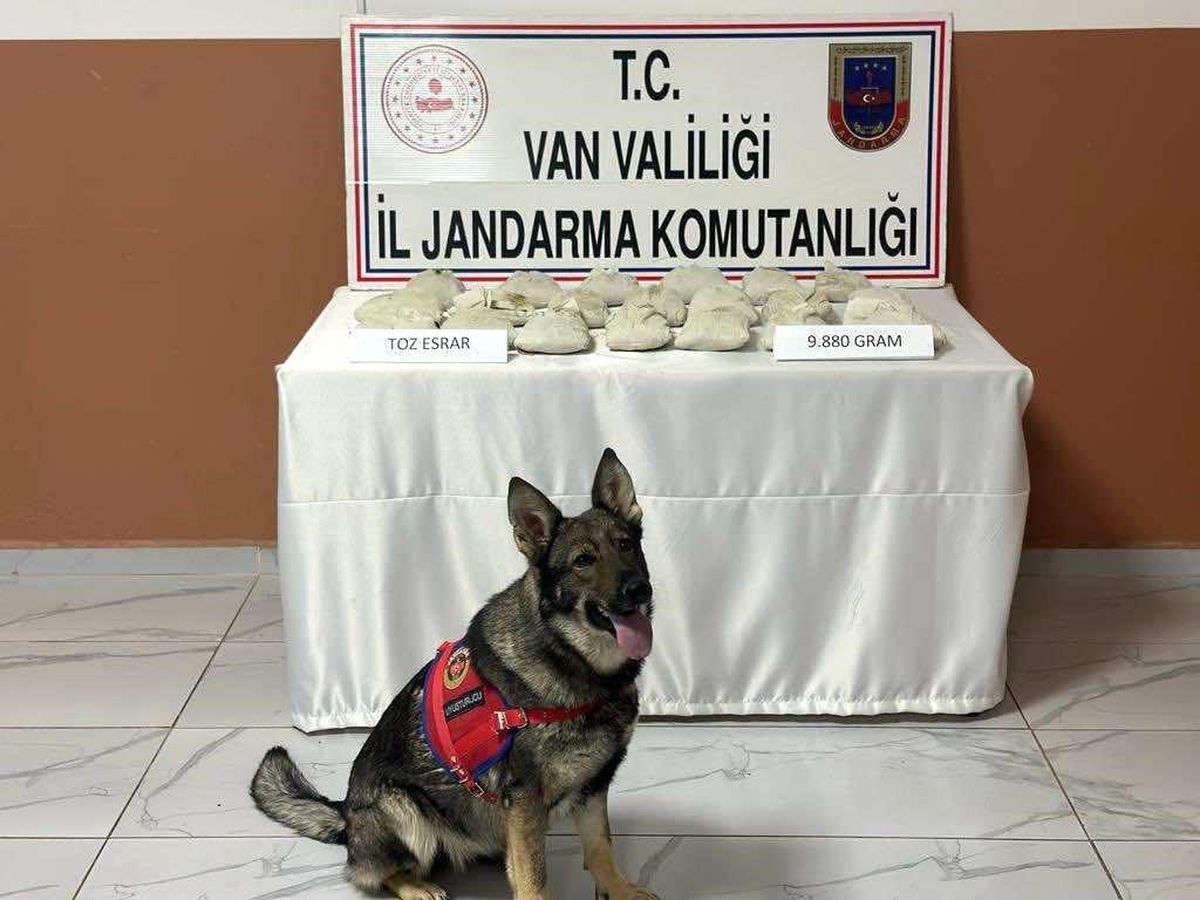 Van'da 9 kilo 880 gram toz esrar ele geçirildi