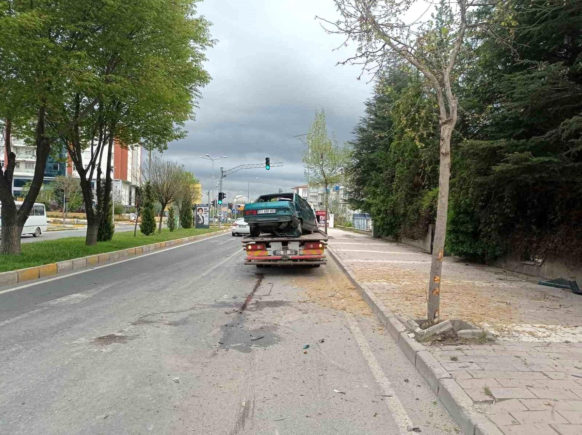 Elazığ'da otomobil ağaca çarptı: 1 yaralı