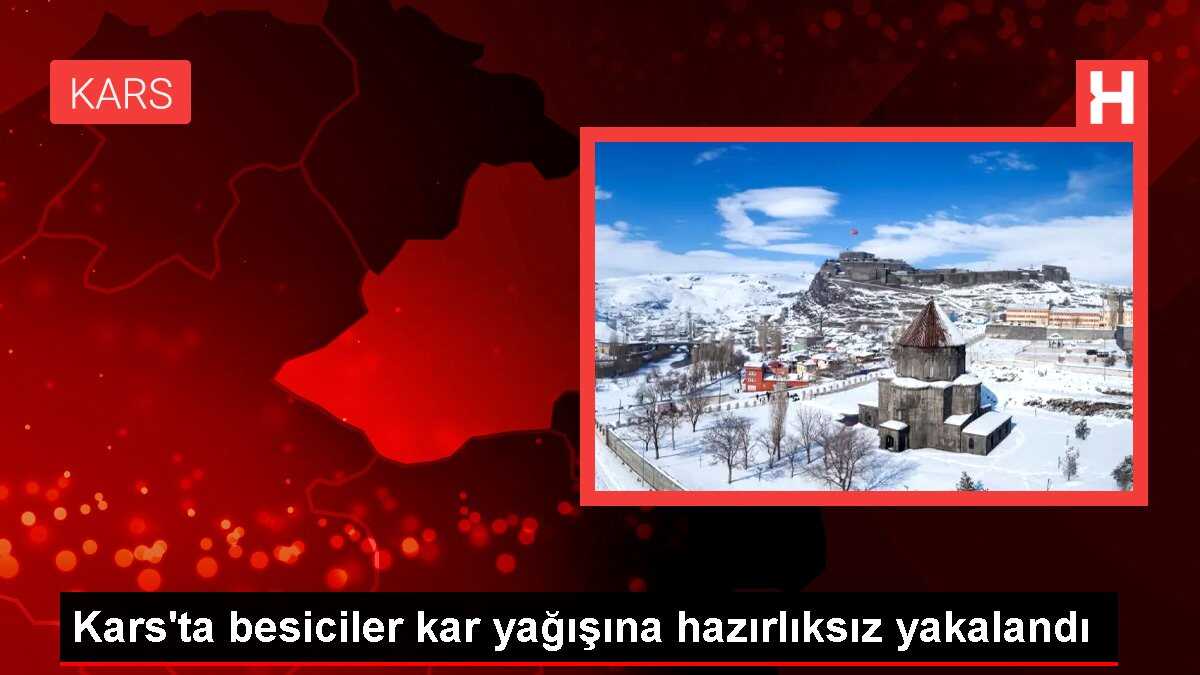 Kars'ta besiciler kar yağışına hazırlıksız yakalandı