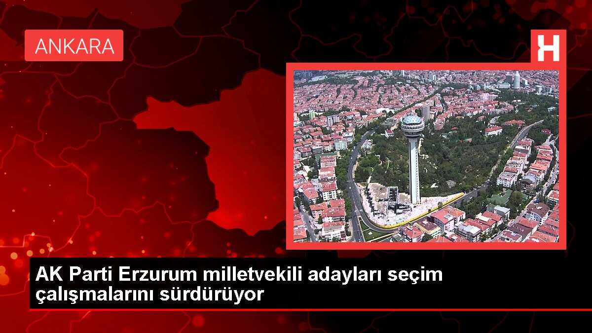 AK Parti Erzurum milletvekili adayları seçim çalışmalarını sürdürüyor