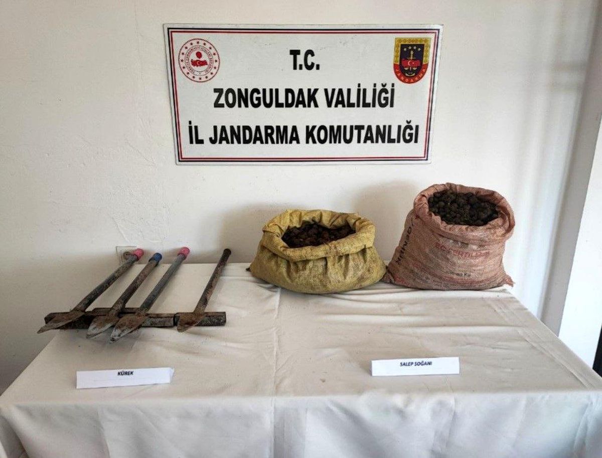 Kdz Ereğli'de 32,2 kilo salep soğanı ele geçirildi