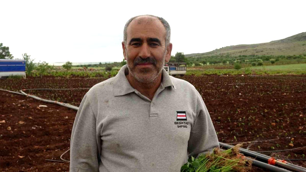 Kilis'te çiftçiler 1 Mayısta biber fidelerini toprakla buluşturdu