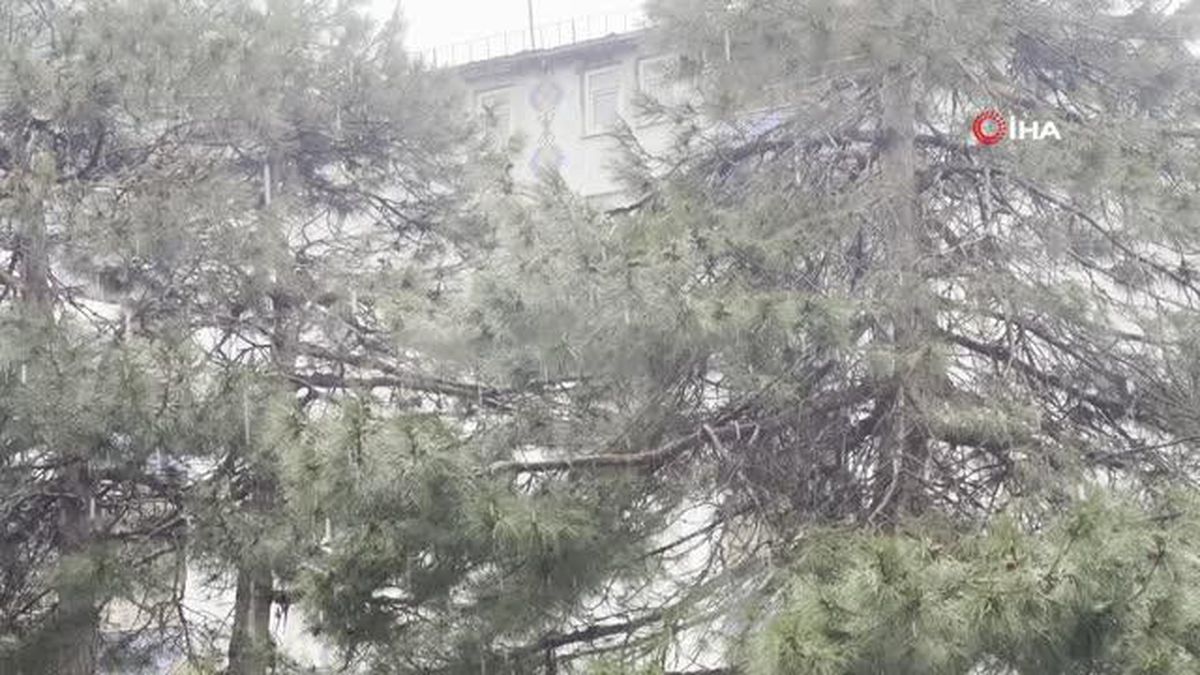 Tatvan'da Mayıs ayında kar yağışı