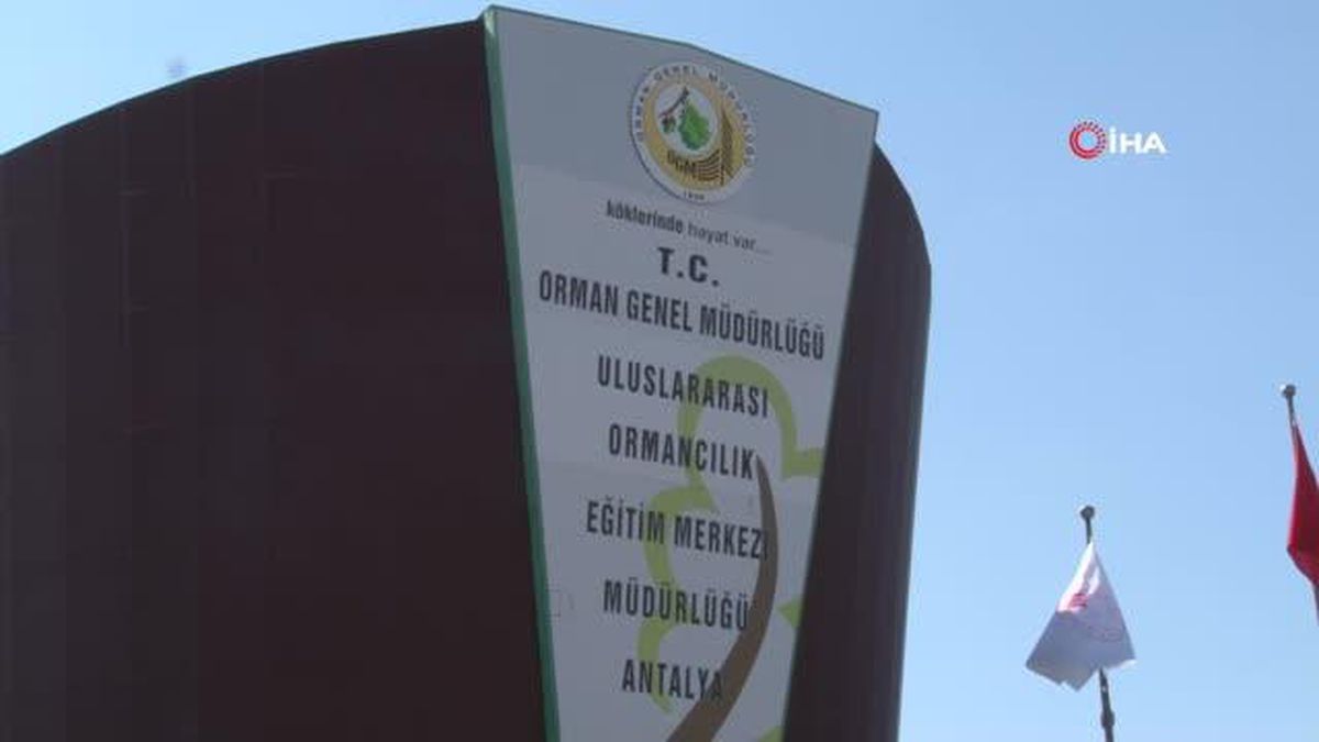 Antalya Orman Bölge Müdürü Dikici: 'Manavgat'taki yangını 500 atom bombası etkisindeydi'
