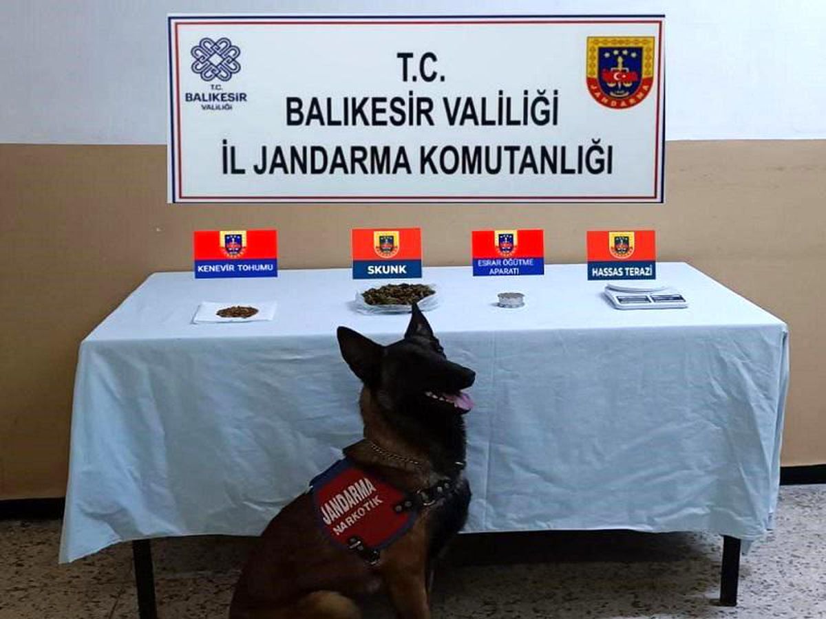 Balıkesir'de jandarmadan 48 şahsa uyuşturucu operasyonu