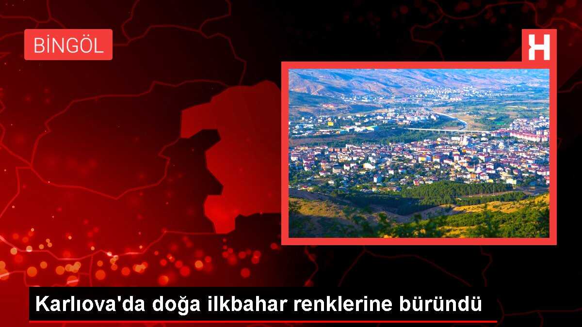Karlıova'da doğa ilkbahar renklerine büründü