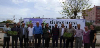 Silifke'de üreticilere 50 bin adet ada çayı fidesi desteği