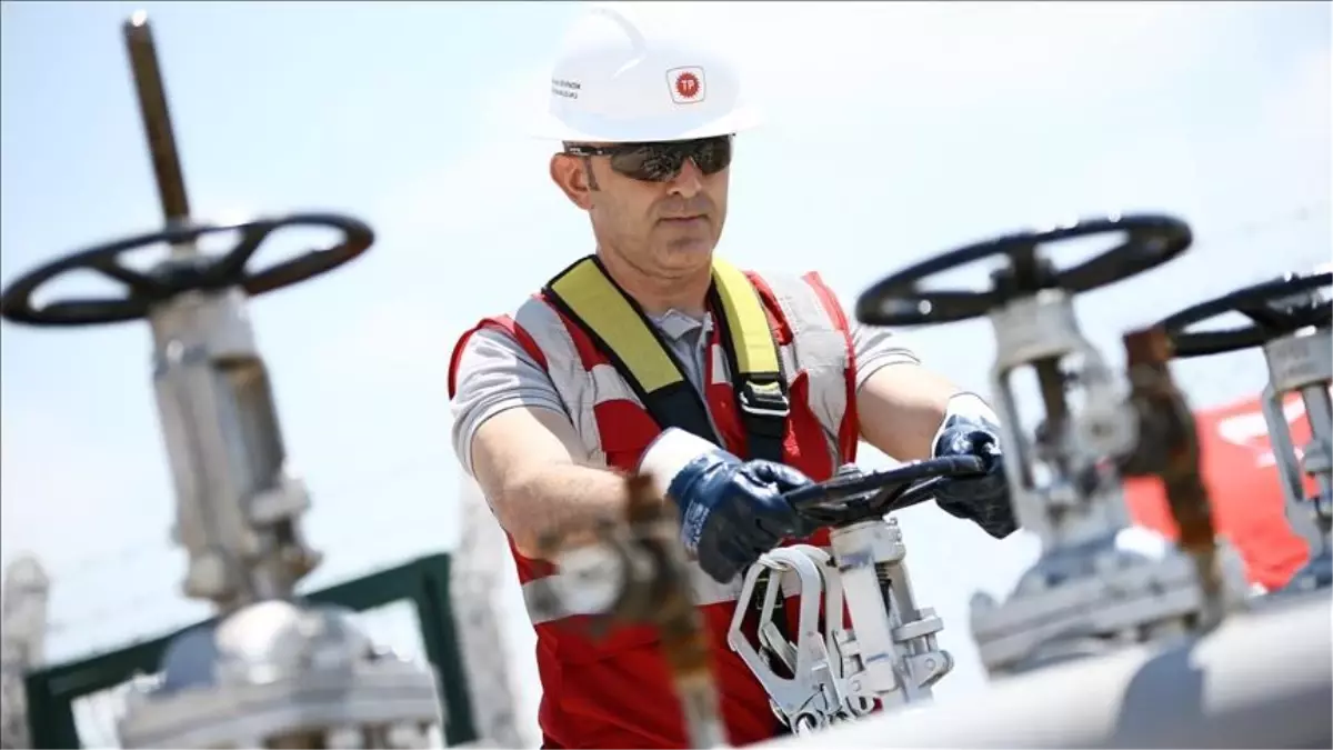 Türkiye günlük kaç varil petrol tüketiyor? Türkiye'nin günlük petrol tüketimi!