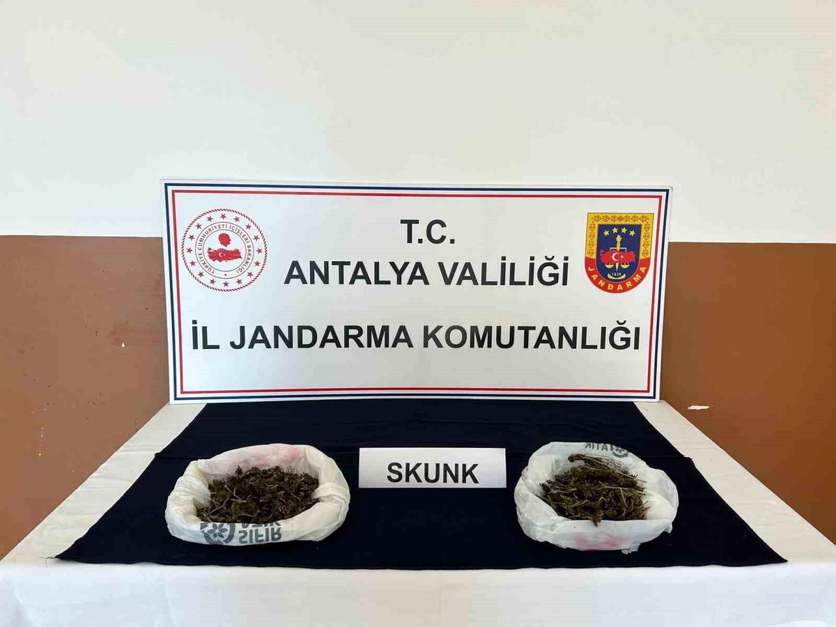 Alanya'da uyuşturucu ticaretine jandarma engeli