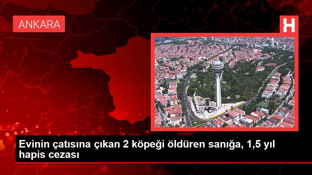 Ankara'da köpekleri öldüren kişiye hapis cezası