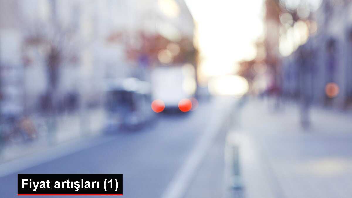 Fiyat artışları (1)