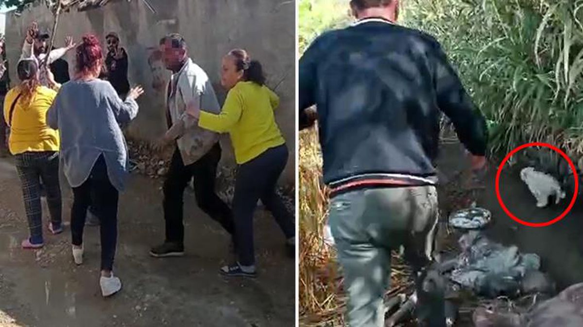 Hatay'da yürekleri sızlatan görüntüler! Yavru köpeklere işkence etti, etrafındaki kimseye aldırmadı