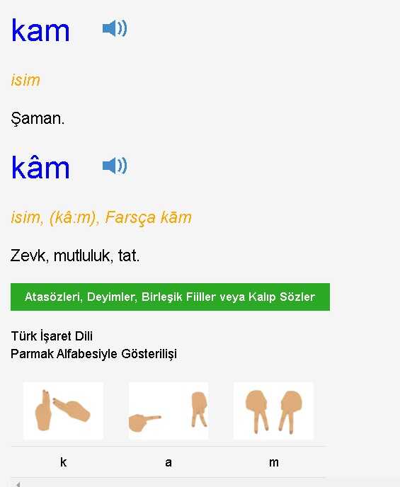 Kuruluş Osman Kam kimdir, kim canlandırıyor? Köksal Ünal kimdir, kaç yaşında, nereli, hangi dizilerde rol aldı? Kam nedir, ne demek?
