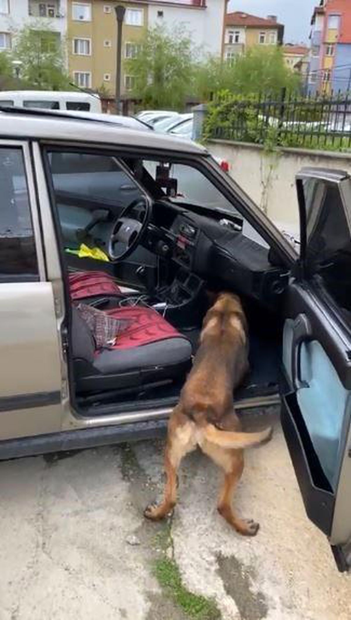 Otomobildeki uyuşturucu zulası 'Ceku' ile böyle tespit edildi