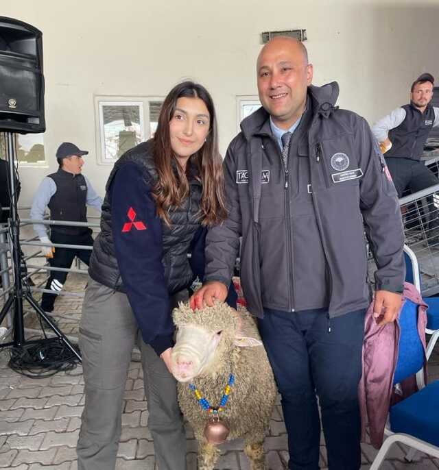 Rakamı duyanlar inanamıyor! Damızlık koç 91 bin liraya alıcı buldu Rakamı duyanlar inanamıyor! Damızlık koç 91 bin liraya alıcı buldu