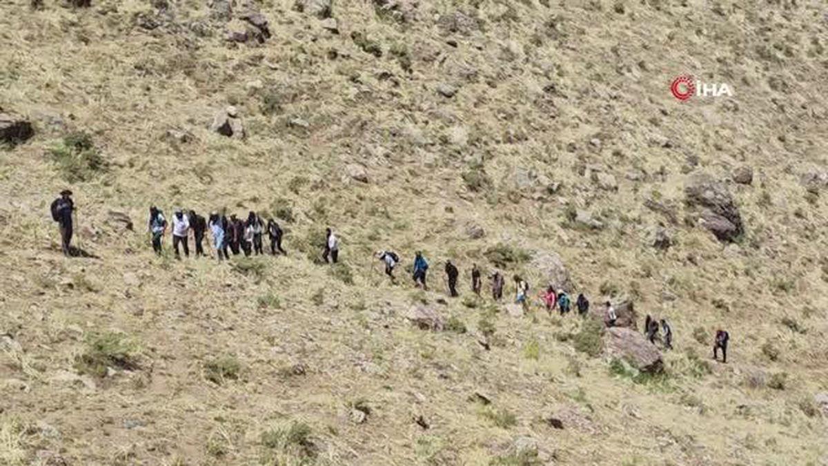 Yüksekova'da engerek yılanı görüntülendi