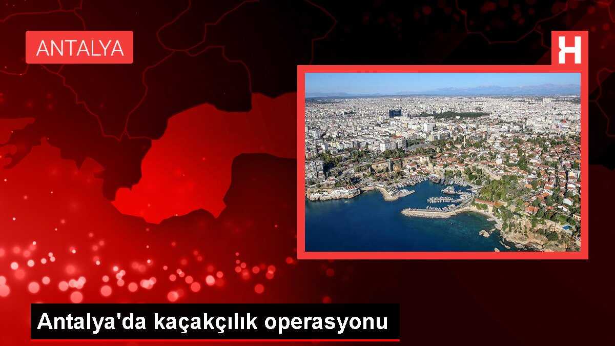 Antalya'da kaçakçılık operasyonu