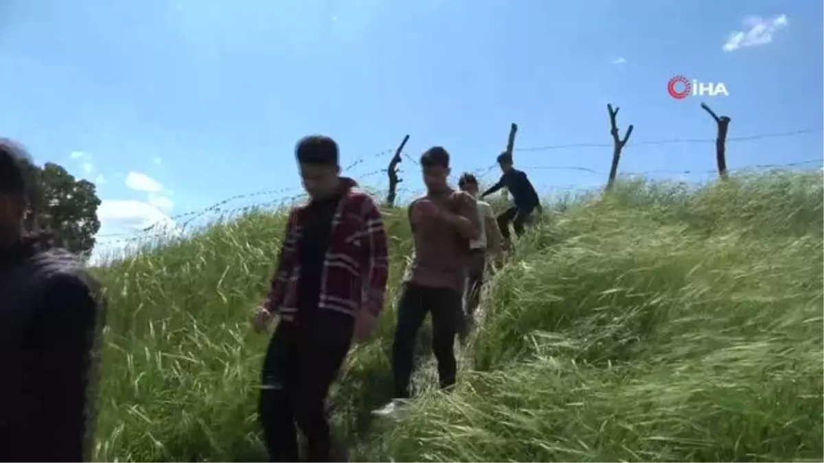 Derecik'te çiftçiler imece usulü bağ bahçe temizliği yapıyor
