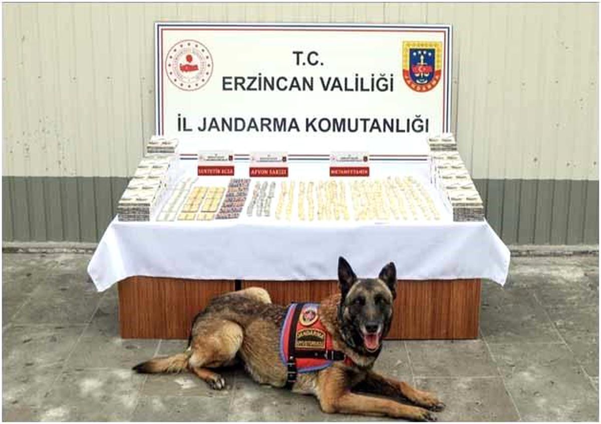 Erzincan'da jandarma ekiplerince 11 faili meçhul olayın 10'u aydınlatıldı