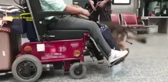 İtalya'da havalimanındaki tekerlekli sandalyeden 8,4 kilogram kokain çıktı