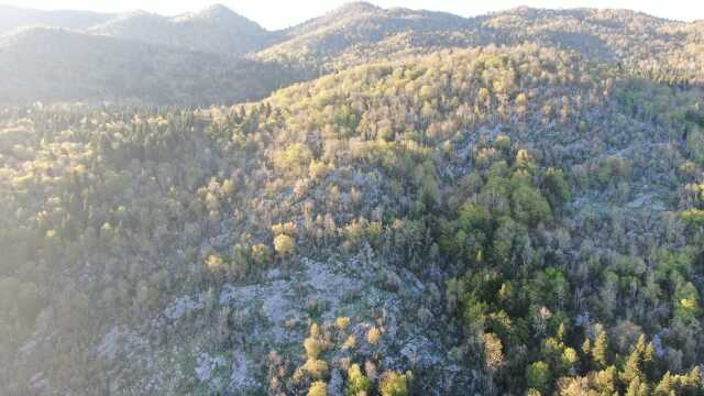 Kastamonu'da mağara gezisi sırasında kaybolan kişiyi arama çalışmaları sürüyor