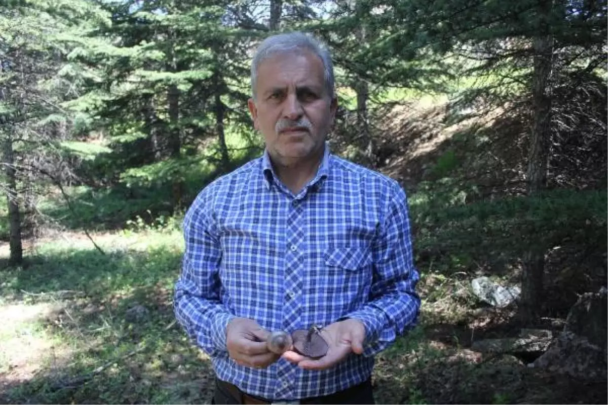 Tokat'ta 'Ölüm Meleği' Mantarı Uyarısı