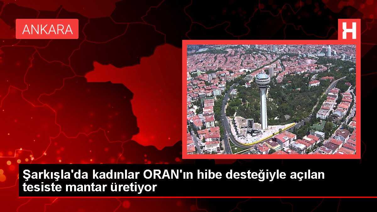 Şarkışla'da kadınlar ORAN'ın hibe desteğiyle açılan tesiste mantar üretiyor