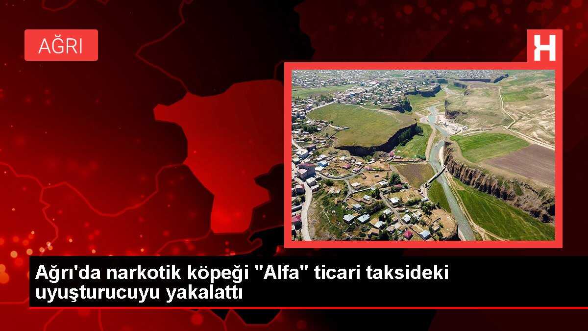 Ağrı'da narkotik köpeği 'Alfa' ticari taksideki uyuşturucuyu yakalattı