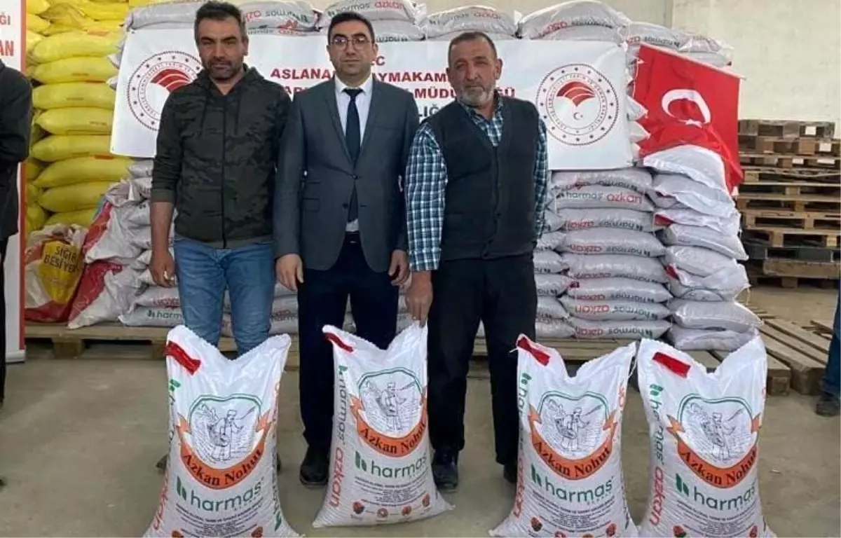 Aslanapa'da çiftçilere yüzde 50 hibeli 25 ton nohut tohumu dağıtıldı