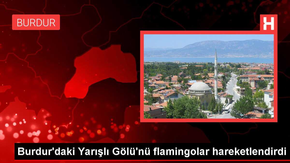 Burdur'daki Yarışlı Gölü'nü flamingolar hareketlendirdi