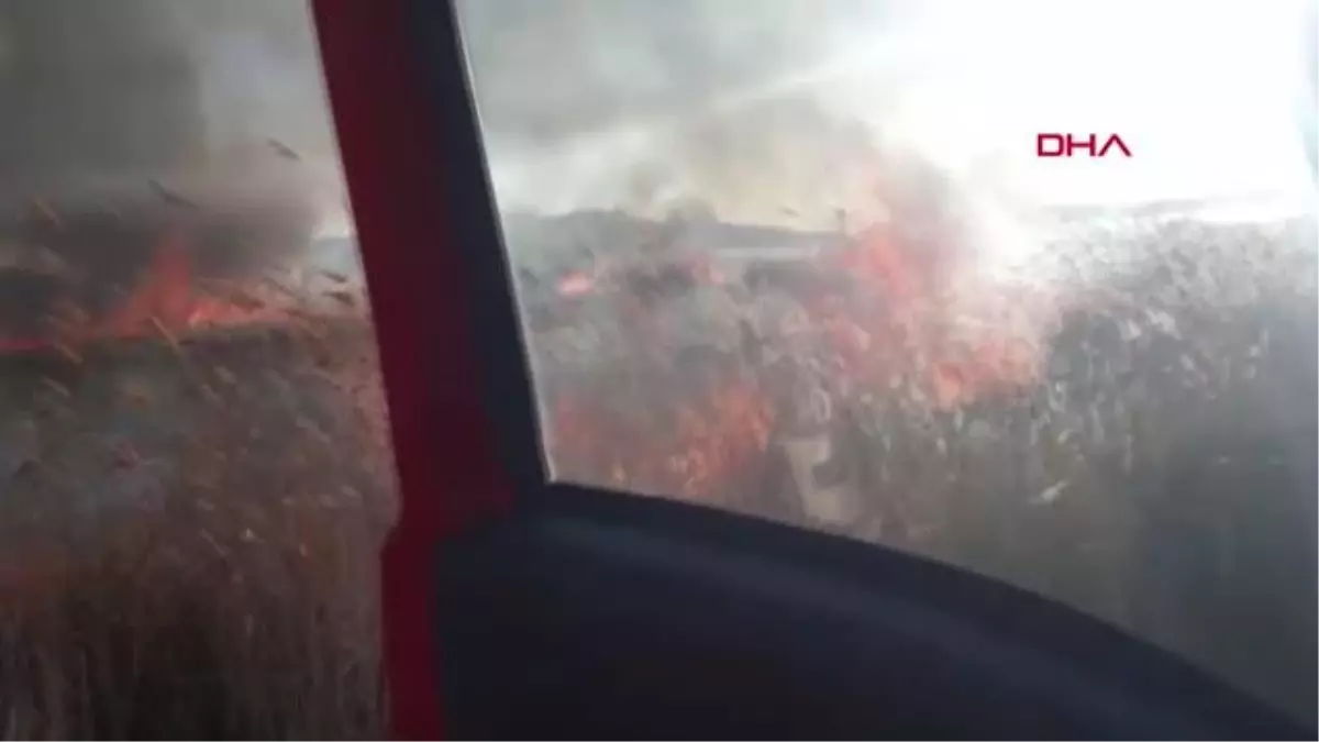 Erçek Gölü'ndeki Sazlıkta Yangın