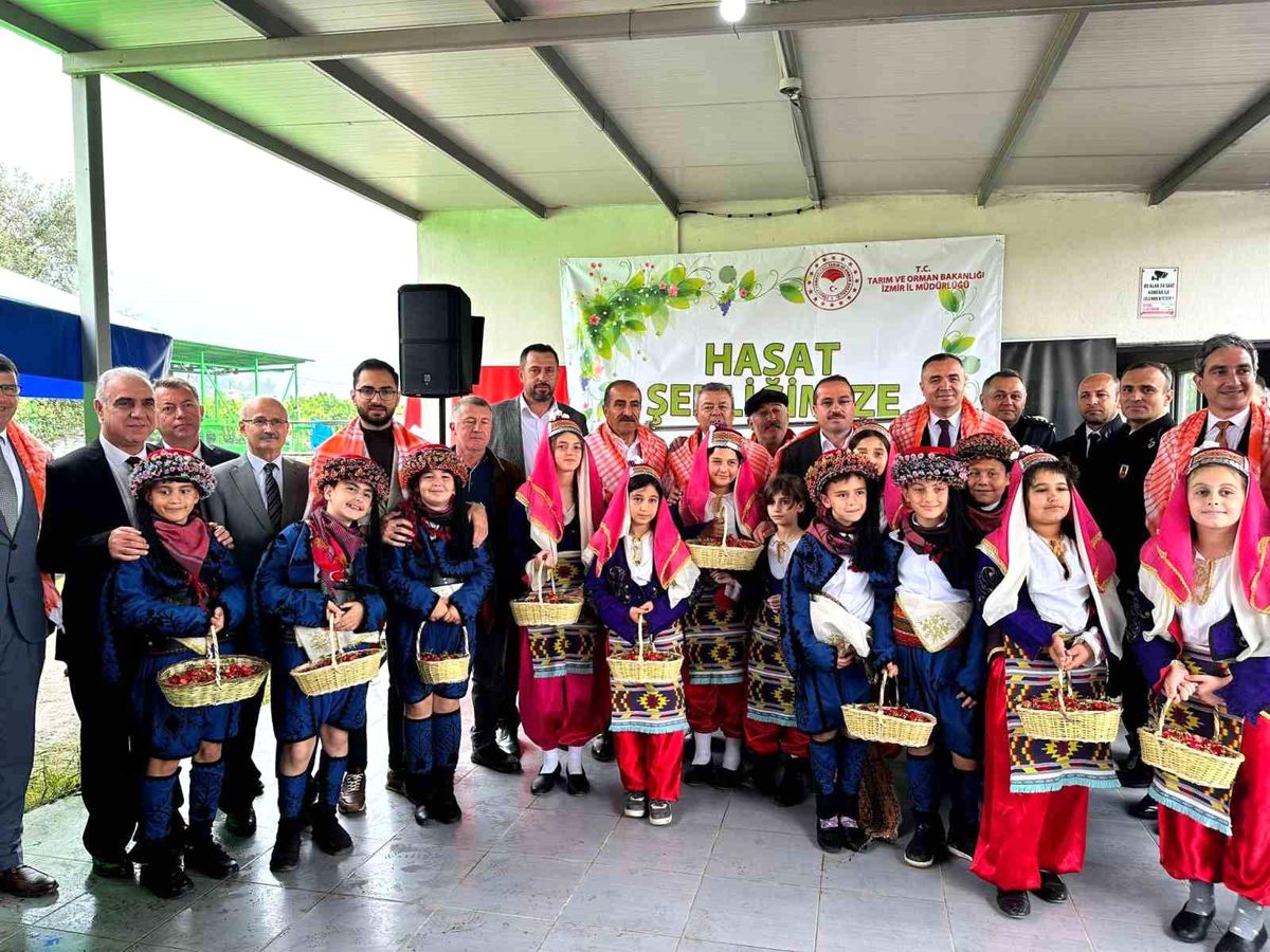 İzmir Kemalpaşa'da yılın ilk kiraz hasadı yapıldı