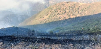 KKTC'nin Yeşilırmak köyünde yangın