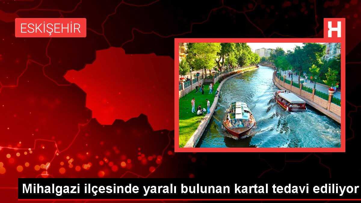 Mihalgazi ilçesinde yaralı bulunan kartal tedavi ediliyor