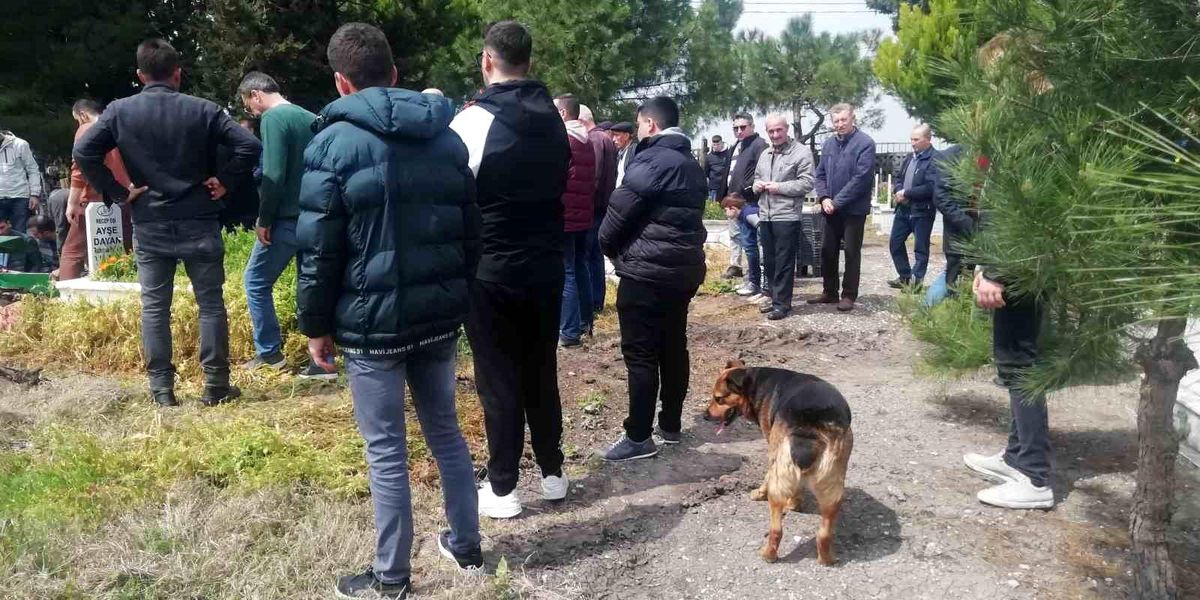 Sokak köpeği Messi cenazelere katılıyor
