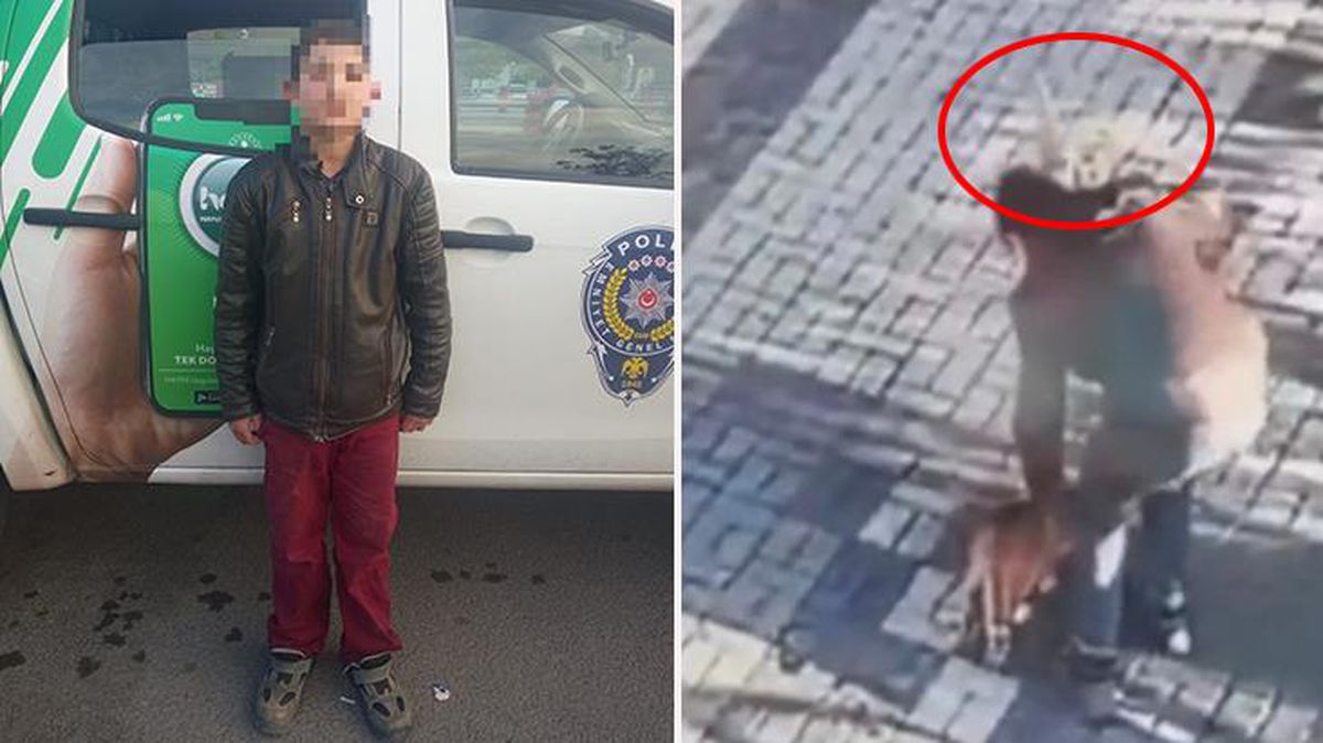 Kayseri'de zavallı kediye malalı işkence, polisi harekete geçirdi! Kamera kayıtlarından yakalandı