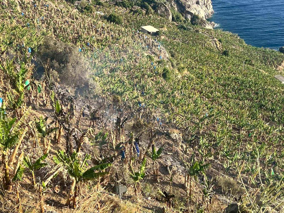 Antalya'da ormanlık alanda ve muz bahçesinde çıkan yangında 8 dönüm alan zarar gördü