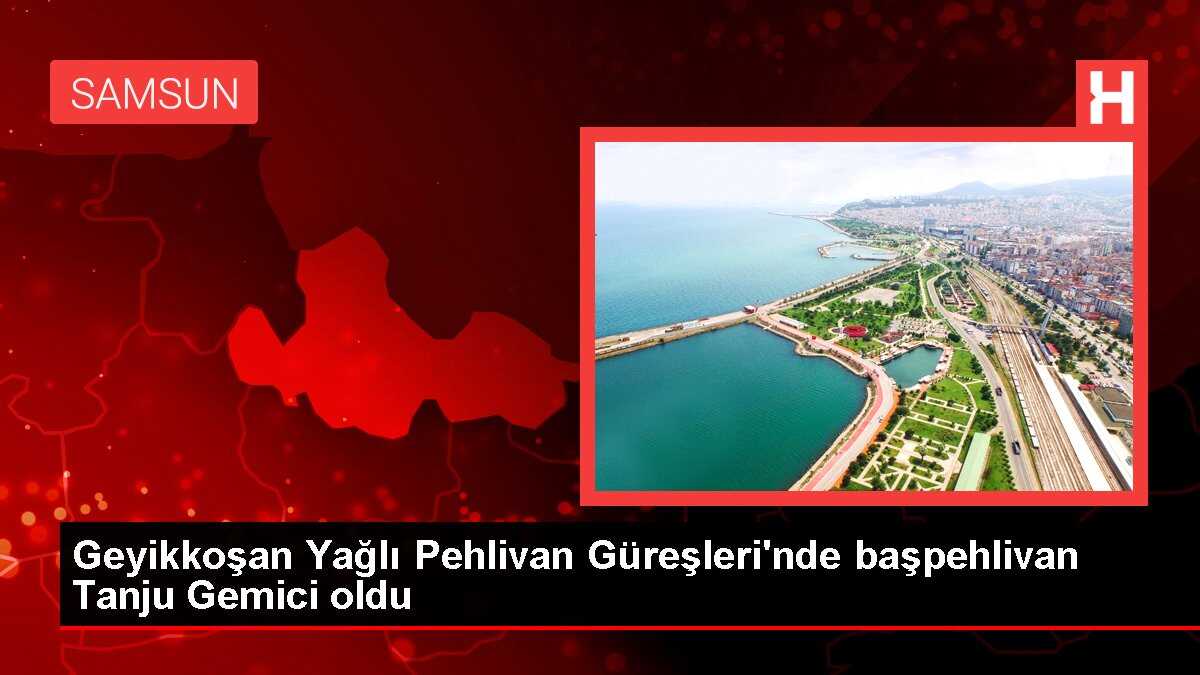 Geyikkoşan Yağlı Pehlivan Güreşleri'nde başpehlivan Tanju Gemici oldu