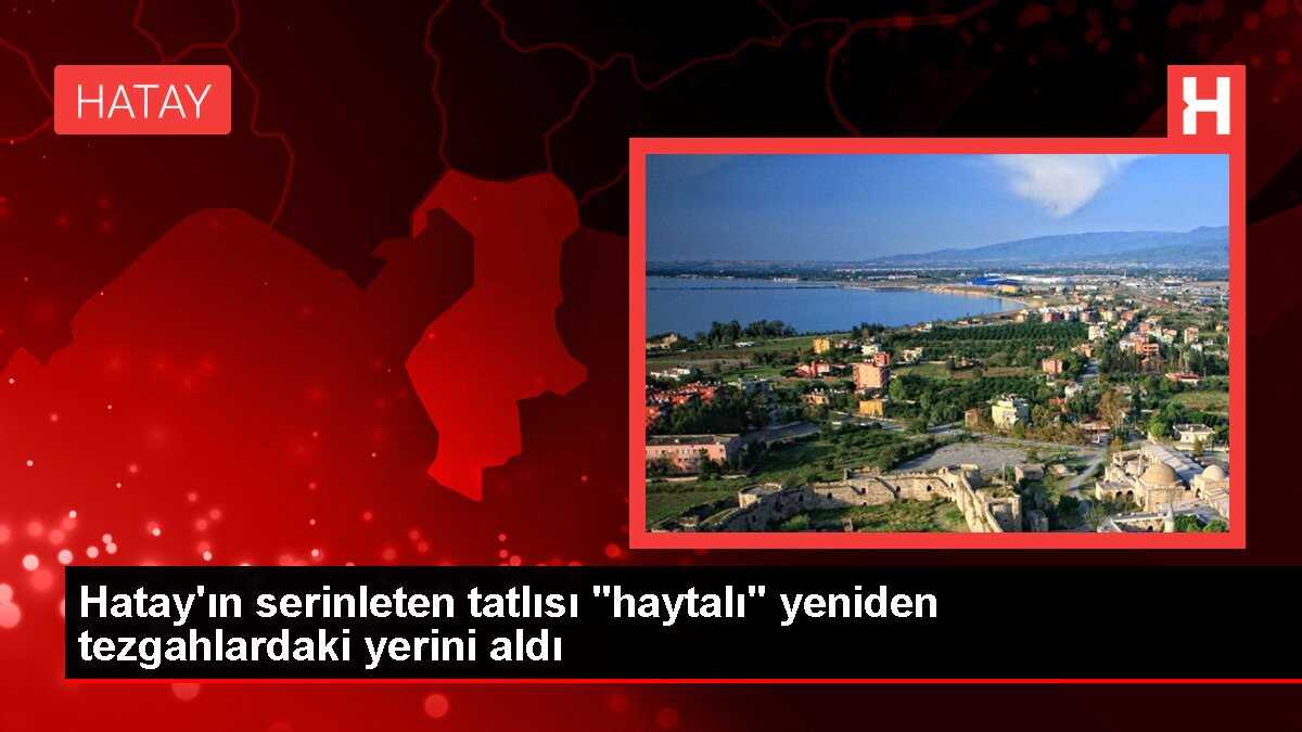 Hatay'ın serinleten tatlısı 'haytalı' yeniden tezgahlardaki yerini aldı